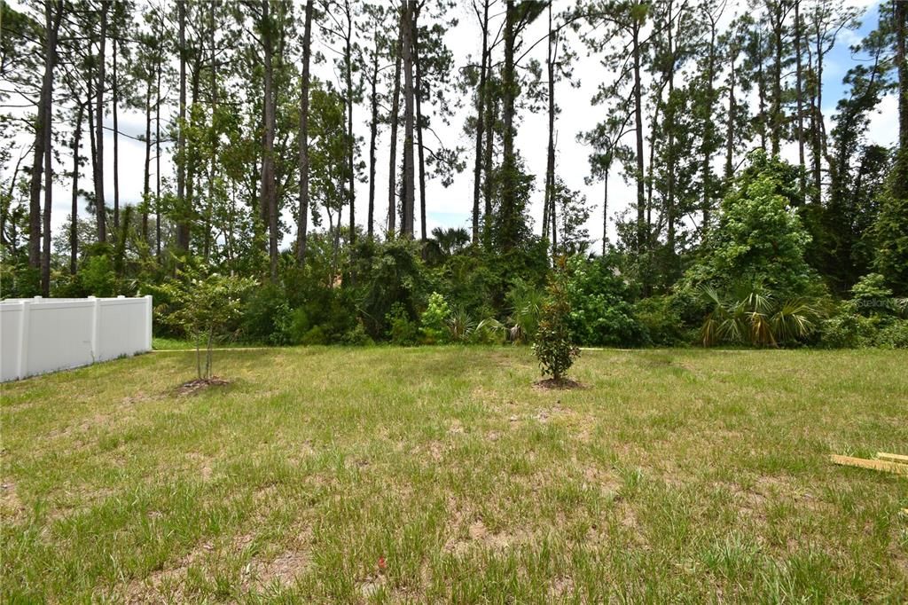 出租: $2,100 (4 贝兹, 2 浴室, 1517 平方英尺)