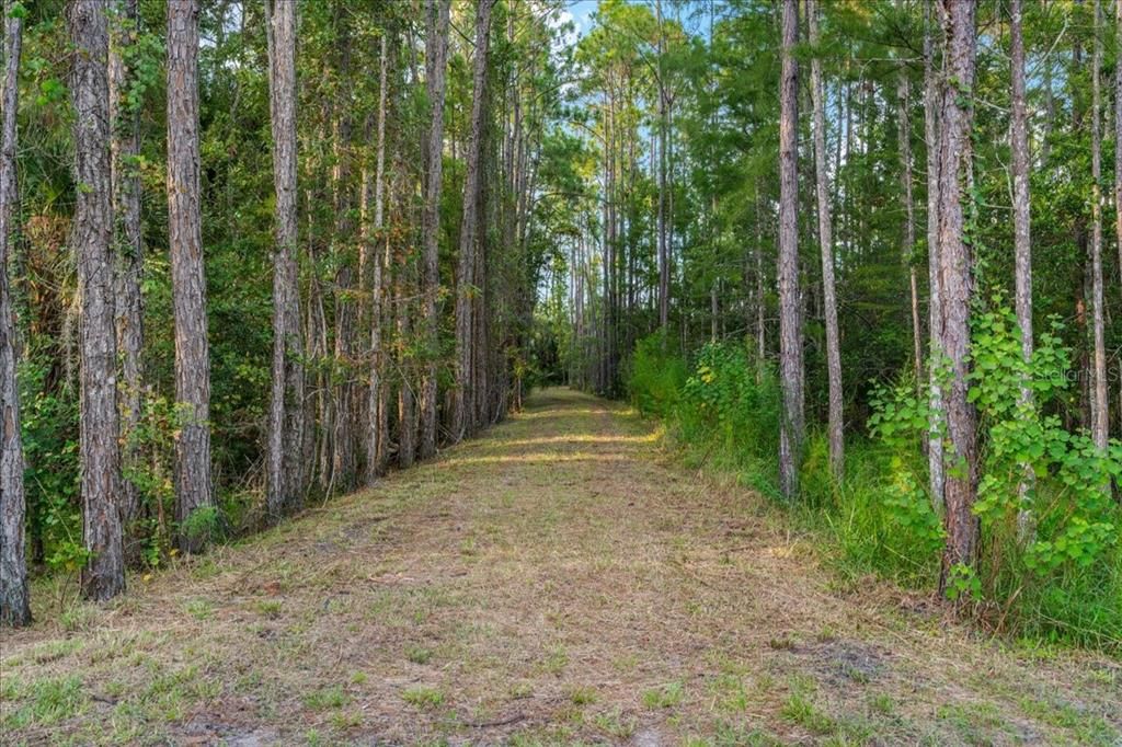 待售: $1,199,999 (4 贝兹, 2 浴室, 2627 平方英尺)