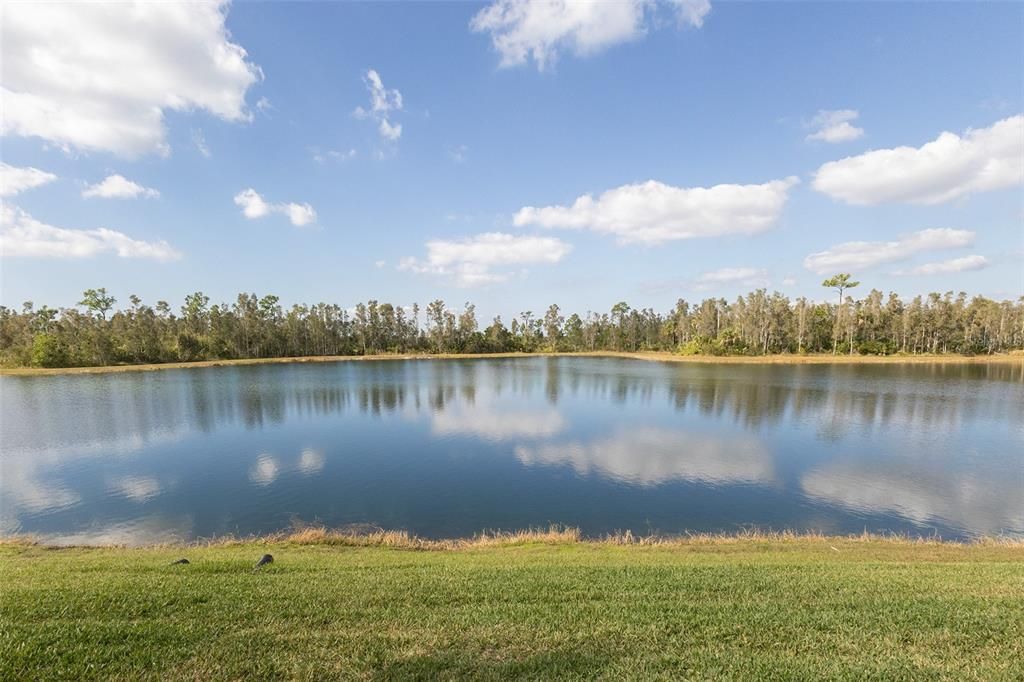 Active With Contract: $278,700 (2 beds, 2 baths, 1366 Square Feet)