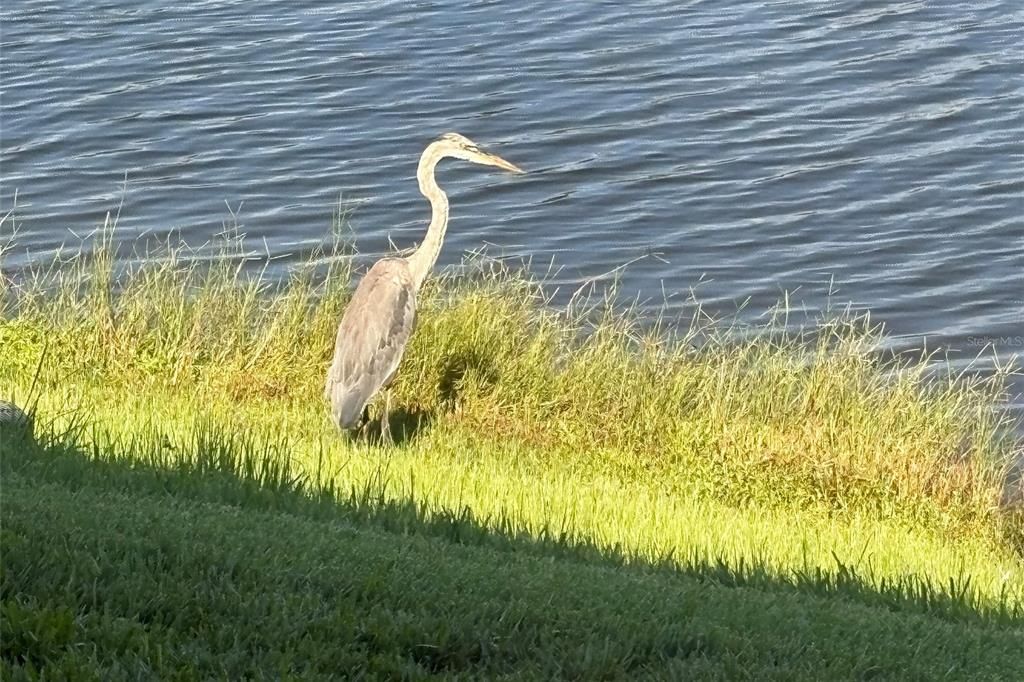 Active With Contract: $278,700 (2 beds, 2 baths, 1366 Square Feet)