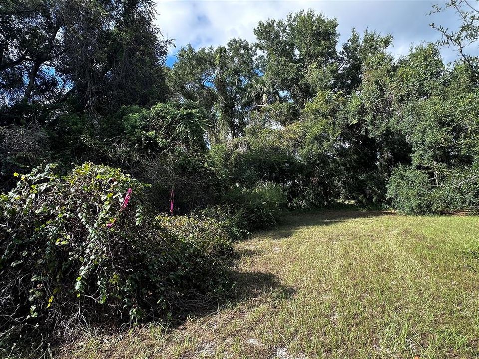 На продажу: $13,999 (0.28 acres)