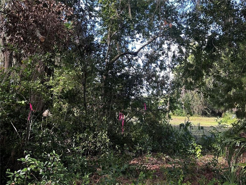 На продажу: $13,999 (0.28 acres)