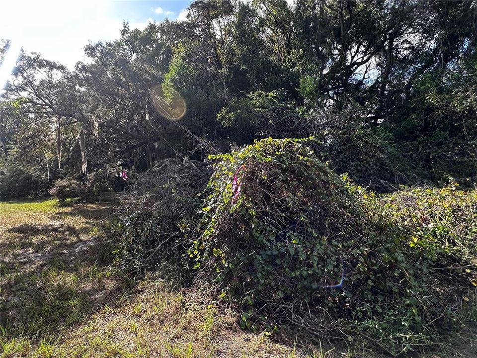 На продажу: $13,999 (0.28 acres)