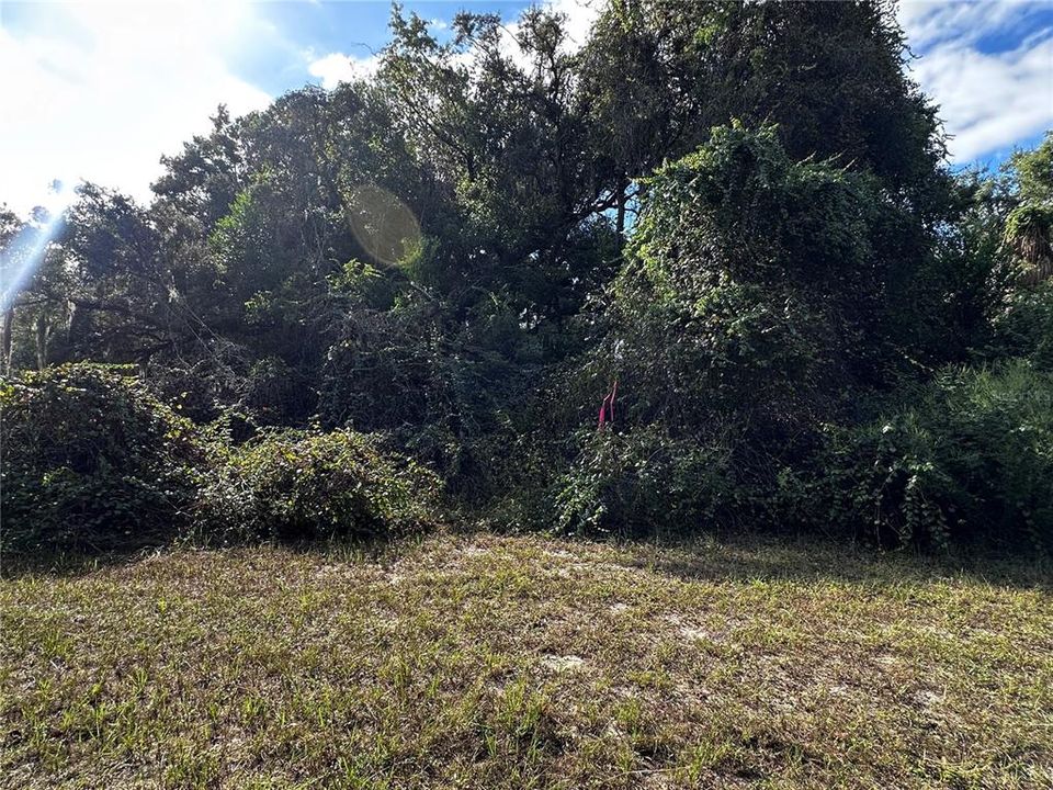 На продажу: $13,999 (0.28 acres)