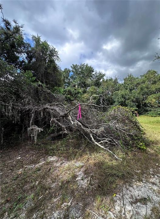 На продажу: $13,999 (0.28 acres)
