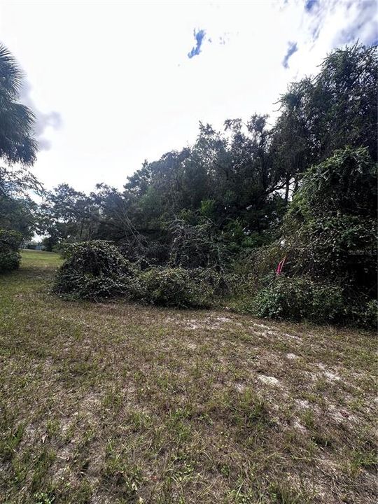 На продажу: $13,999 (0.28 acres)