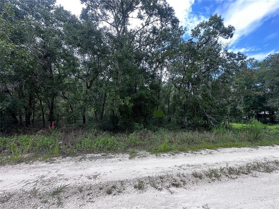 For Sale: $9,999 (0.23 acres)