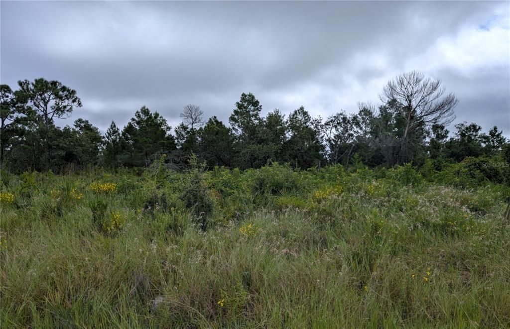 На продажу: $19,500 (0.32 acres)