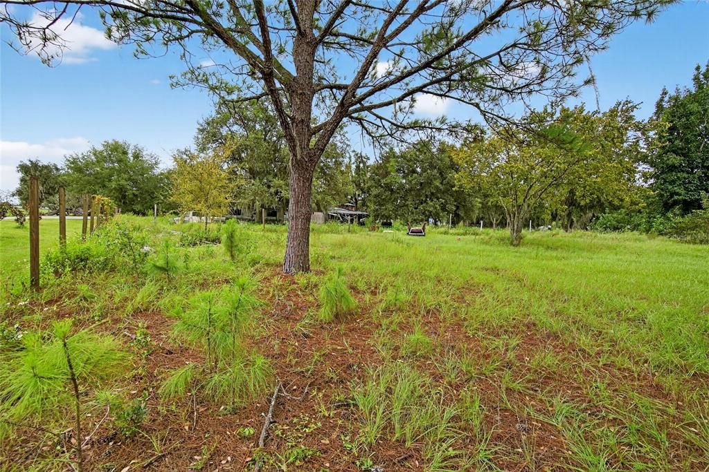 Active With Contract: $125,000 (1.00 acres)