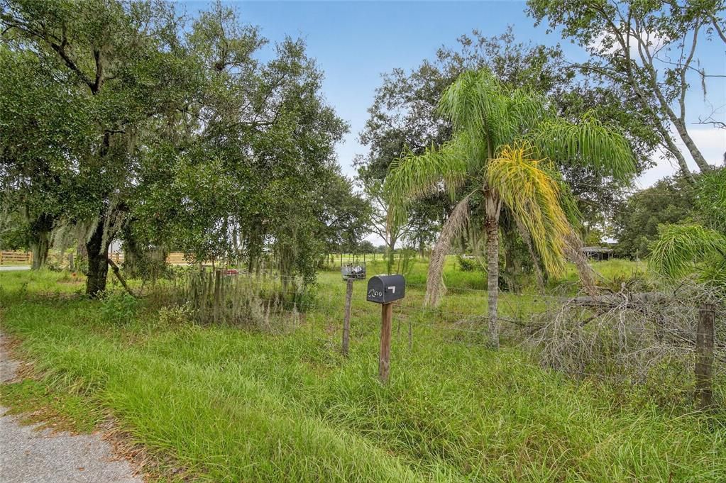 Active With Contract: $125,000 (1.00 acres)