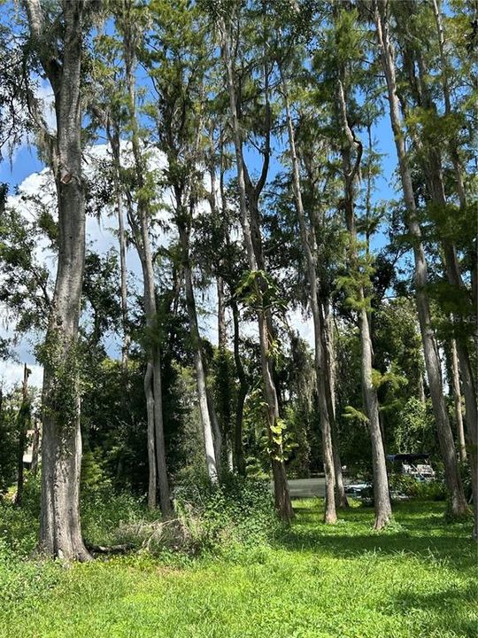 For Sale: $67,900 (0.24 acres)