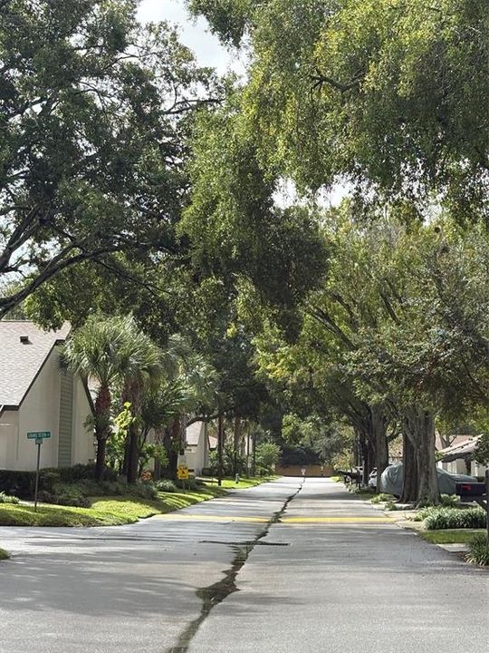 For Sale: $295,000 (2 beds, 2 baths, 1669 Square Feet)