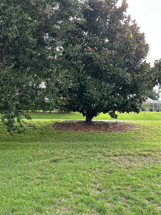 出租: $2,200 (2 贝兹, 2 浴室, 1248 平方英尺)