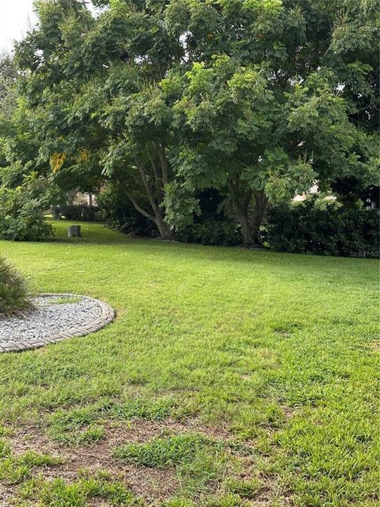 出租: $2,200 (2 贝兹, 2 浴室, 1248 平方英尺)