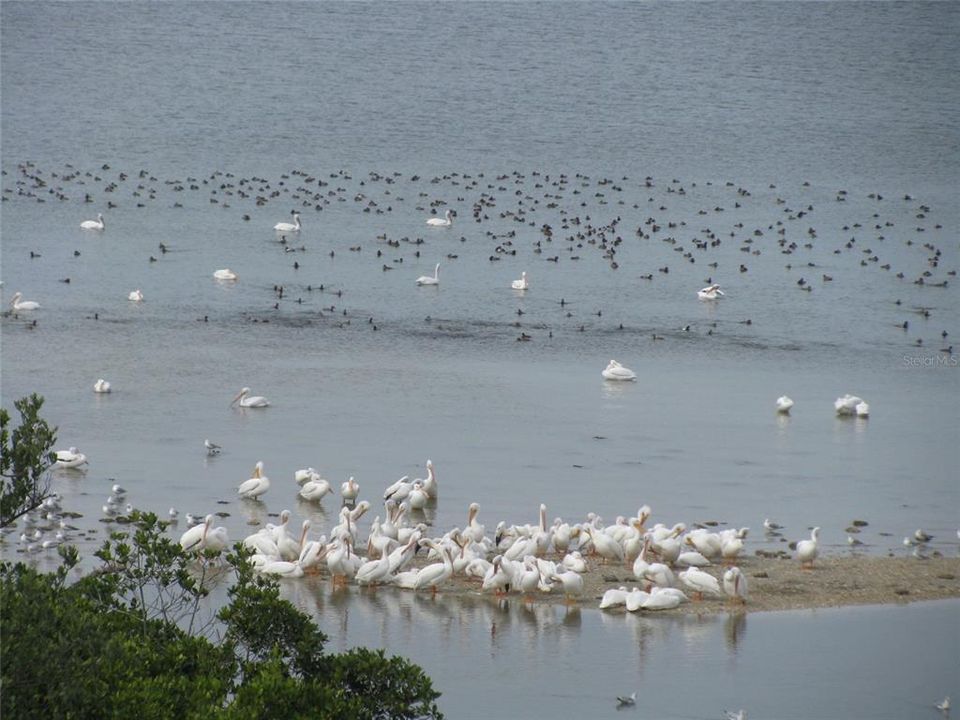 For Sale: $399,900 (3 beds, 2 baths, 1349 Square Feet)