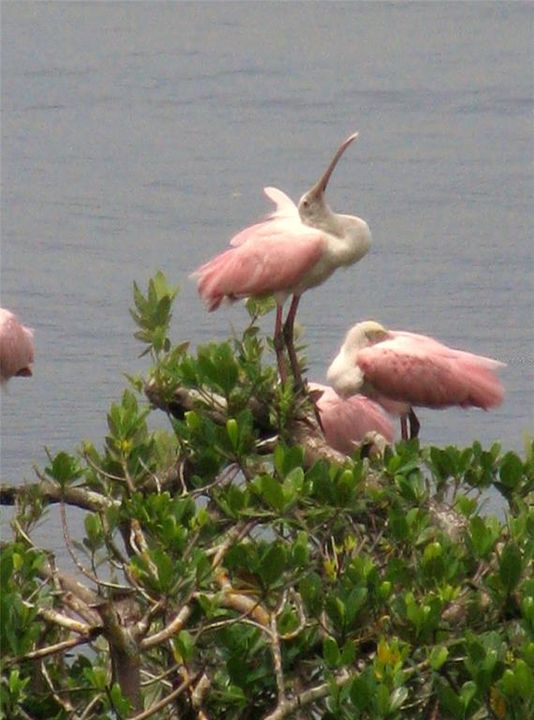 For Sale: $399,900 (3 beds, 2 baths, 1349 Square Feet)