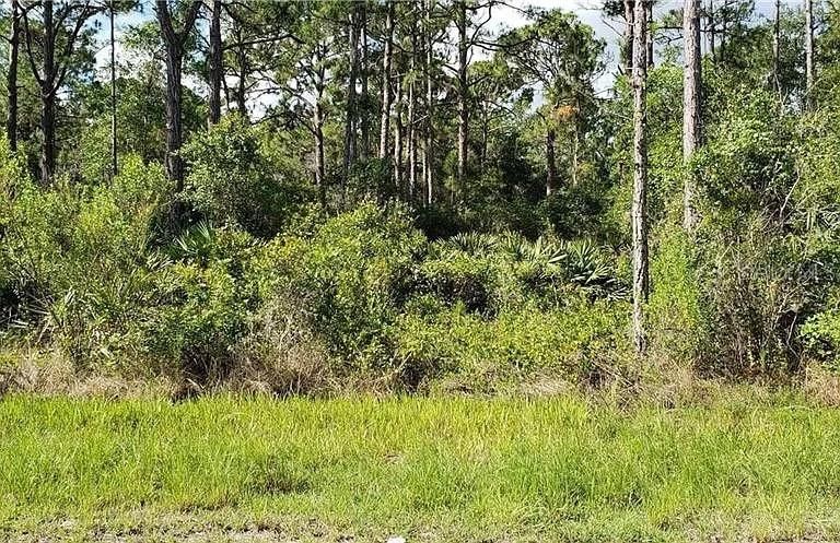 For Sale: $9,900 (0.23 acres)