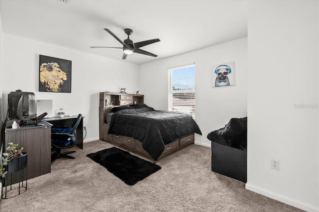 На продажу: $389,999 (4 спален, 2 ванн, 2401 Квадратных фут)