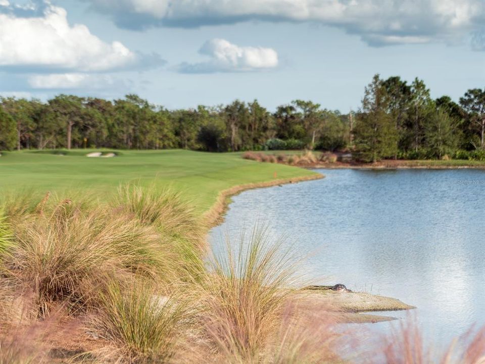 待售: $3,250,000 (4 贝兹, 5 浴室, 4990 平方英尺)