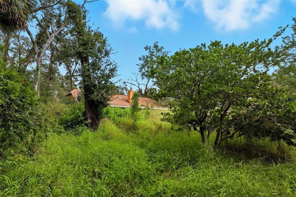 For Sale: $350,000 (3 beds, 2 baths, 1764 Square Feet)