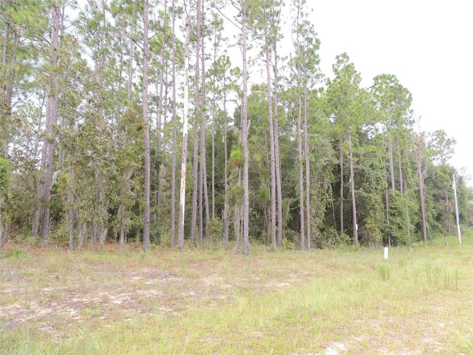 For Sale: $42,900 (2.12 acres)
