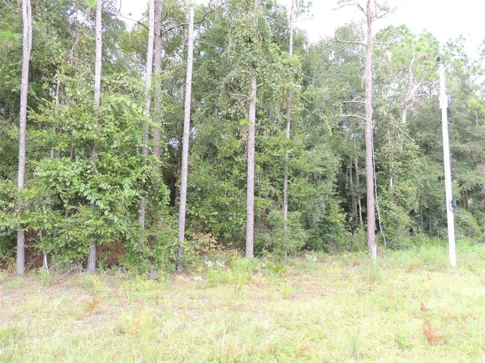 For Sale: $42,900 (2.12 acres)