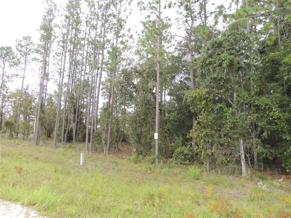 For Sale: $42,900 (2.12 acres)