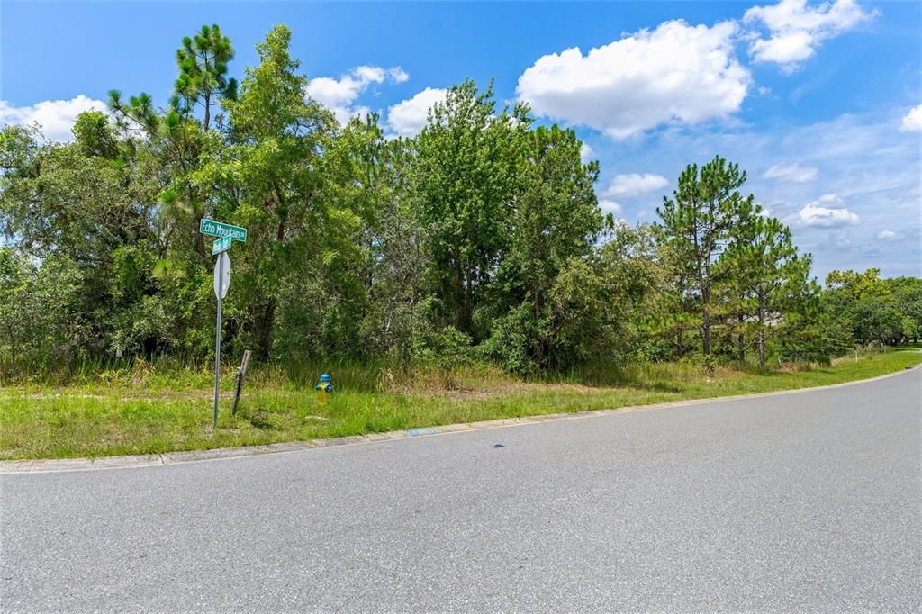 For Sale: $54,000 (1.34 acres)