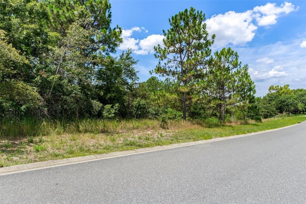 For Sale: $54,000 (1.34 acres)