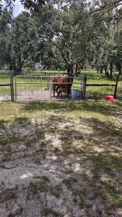 For Sale: $1,479,999 (3 beds, 2 baths, 1258 Square Feet)