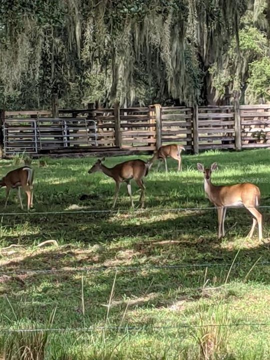 For Sale: $1,479,999 (3 beds, 2 baths, 1258 Square Feet)