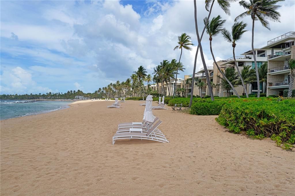 待售: $11,500,000 (3 贝兹, 3 浴室, 3524 平方英尺)