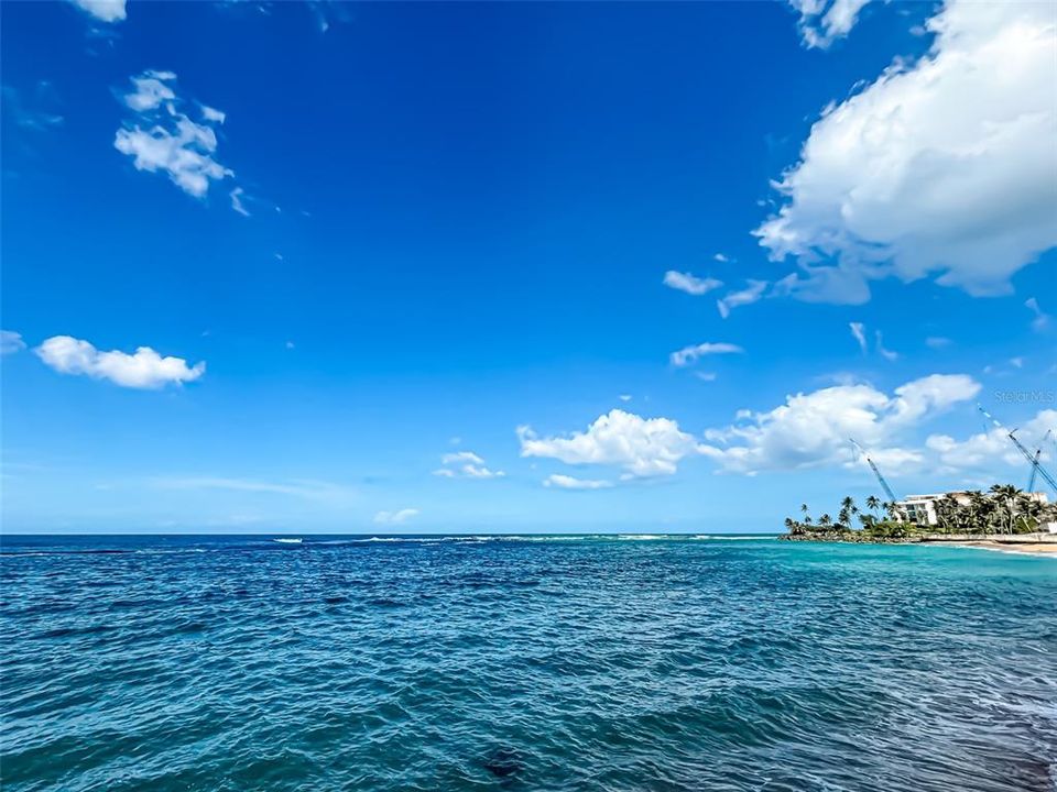 出租: $6,500 (4 贝兹, 4 浴室, 2764 平方英尺)