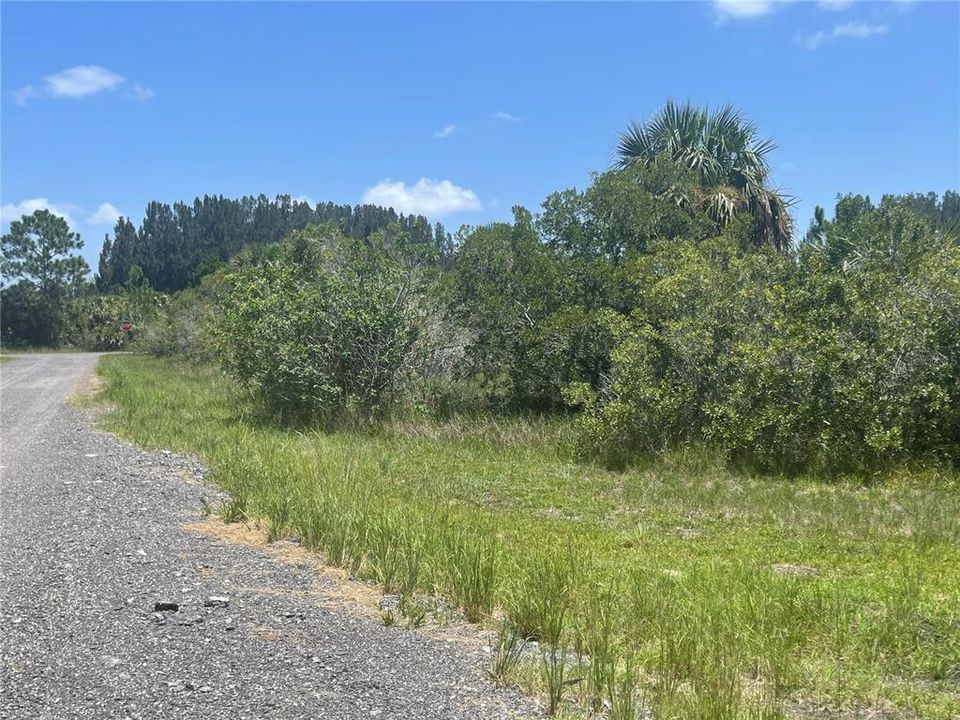 待售: $47,900 (0.36 acres)