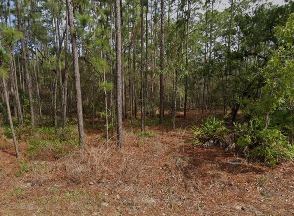 En Venta: $39,000 (0.30 acres)