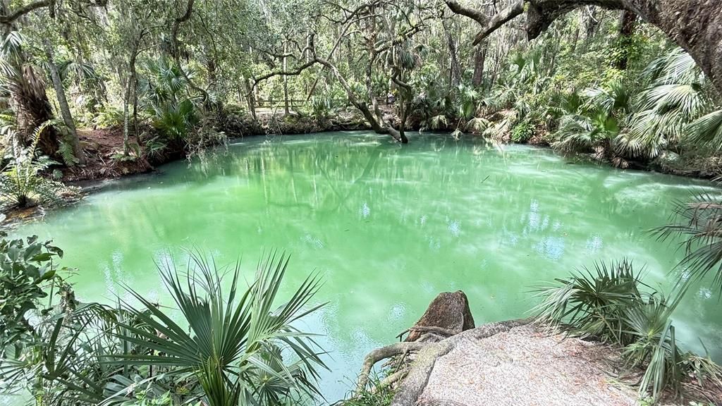 Activo con contrato: $149,000 (2 camas, 2 baños, 897 Pies cuadrados)