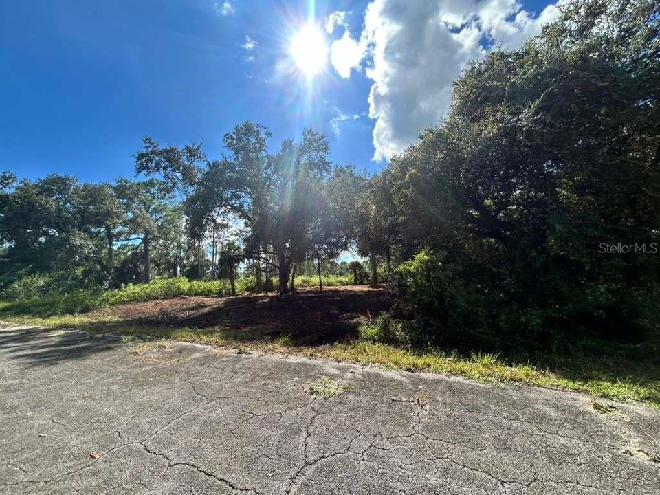 For Sale: $21,000 (0.23 acres)