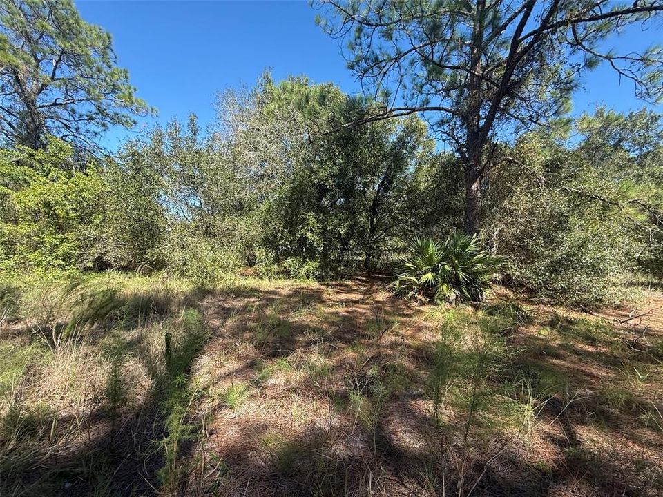 На продажу: $78,500 (2.50 acres)