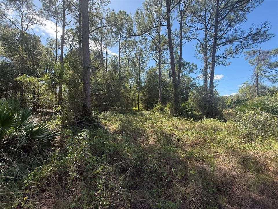 На продажу: $78,500 (2.50 acres)