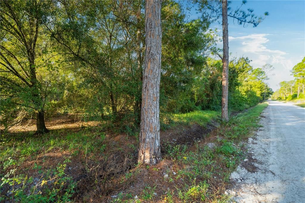 На продажу: $78,500 (2.50 acres)