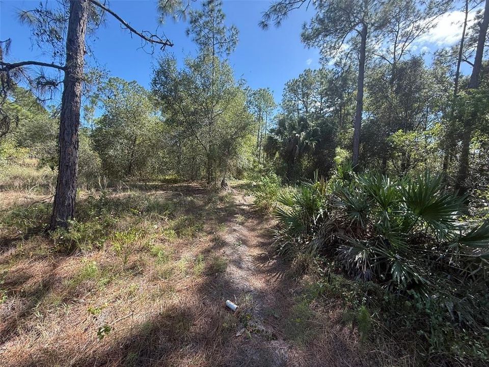 На продажу: $78,500 (2.50 acres)