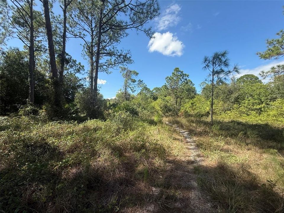 На продажу: $78,500 (2.50 acres)