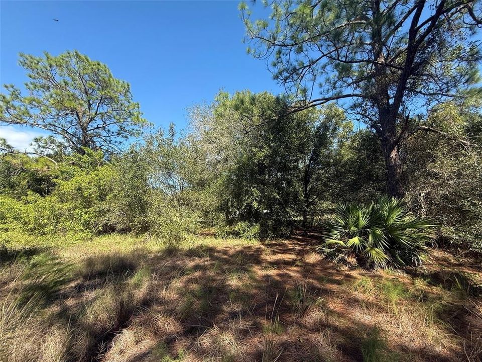 На продажу: $78,500 (2.50 acres)