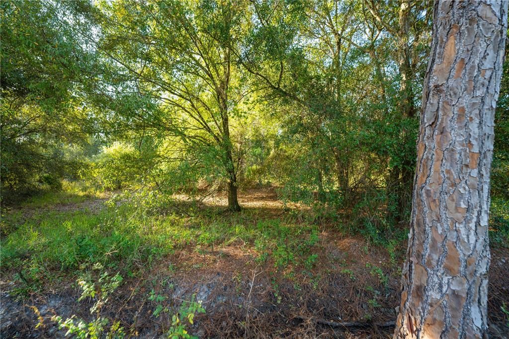 На продажу: $78,500 (2.50 acres)