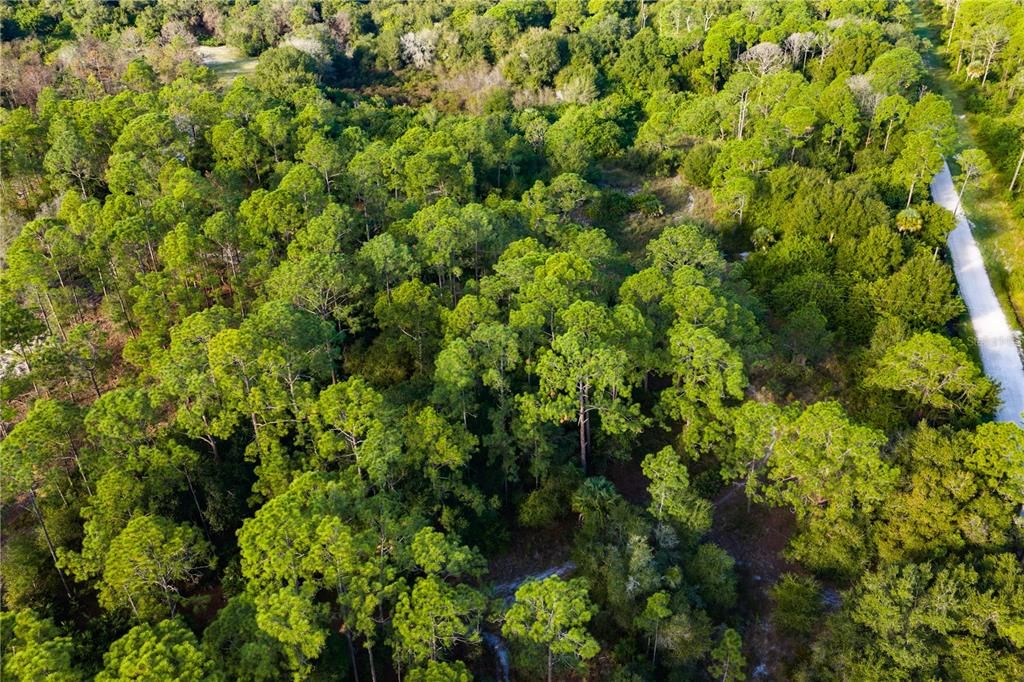 На продажу: $78,500 (2.50 acres)