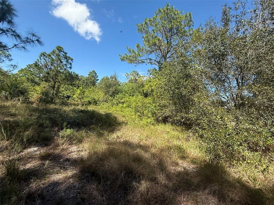 На продажу: $78,500 (2.50 acres)