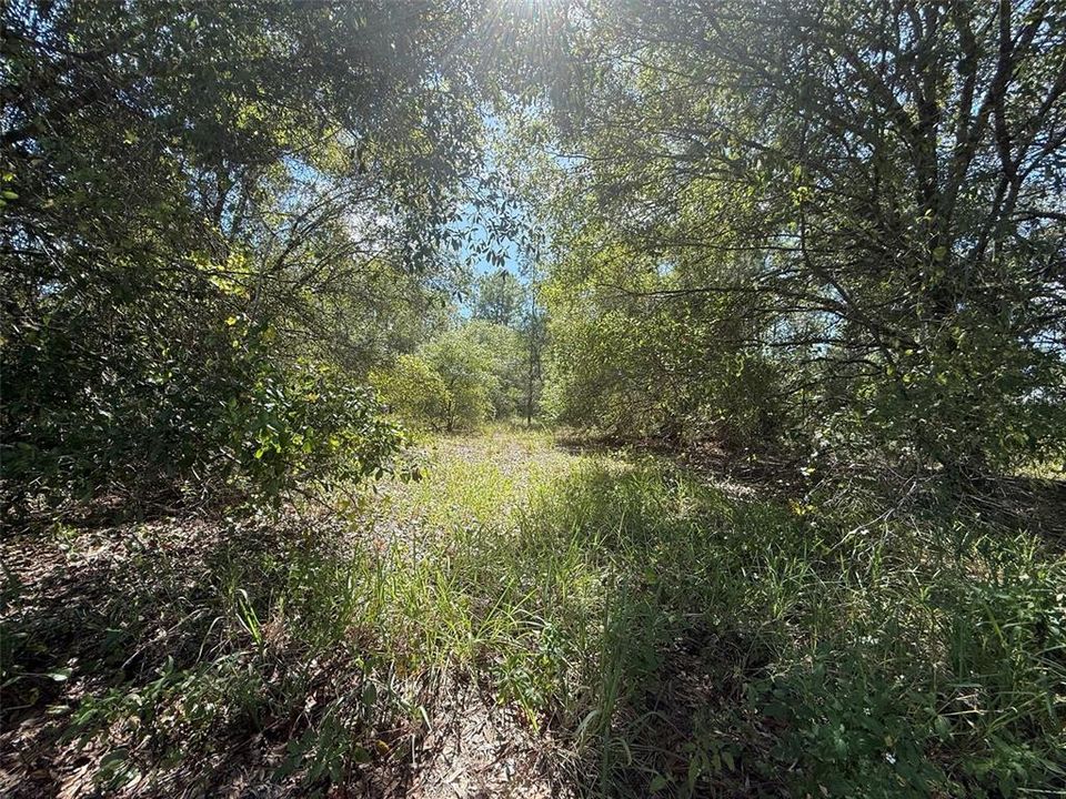 На продажу: $78,500 (2.50 acres)