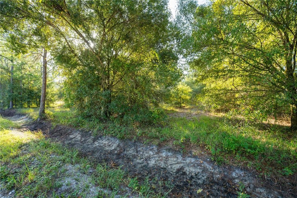 На продажу: $78,500 (2.50 acres)