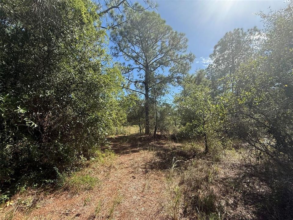 На продажу: $78,500 (2.50 acres)