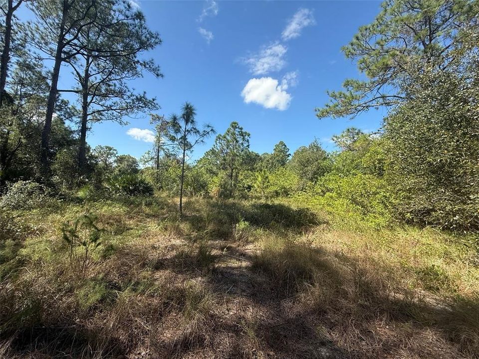 На продажу: $78,500 (2.50 acres)